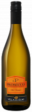Игристое вино Prosecco DOC Frizzante Villa degli Olmi