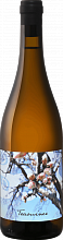 Traminer Burgenland Beck